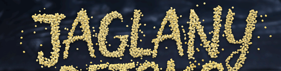 fragment okładki „Jaglany detoks”